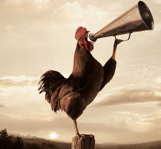 goodmorning-rooster-crowing.jpg?w=322&h=299